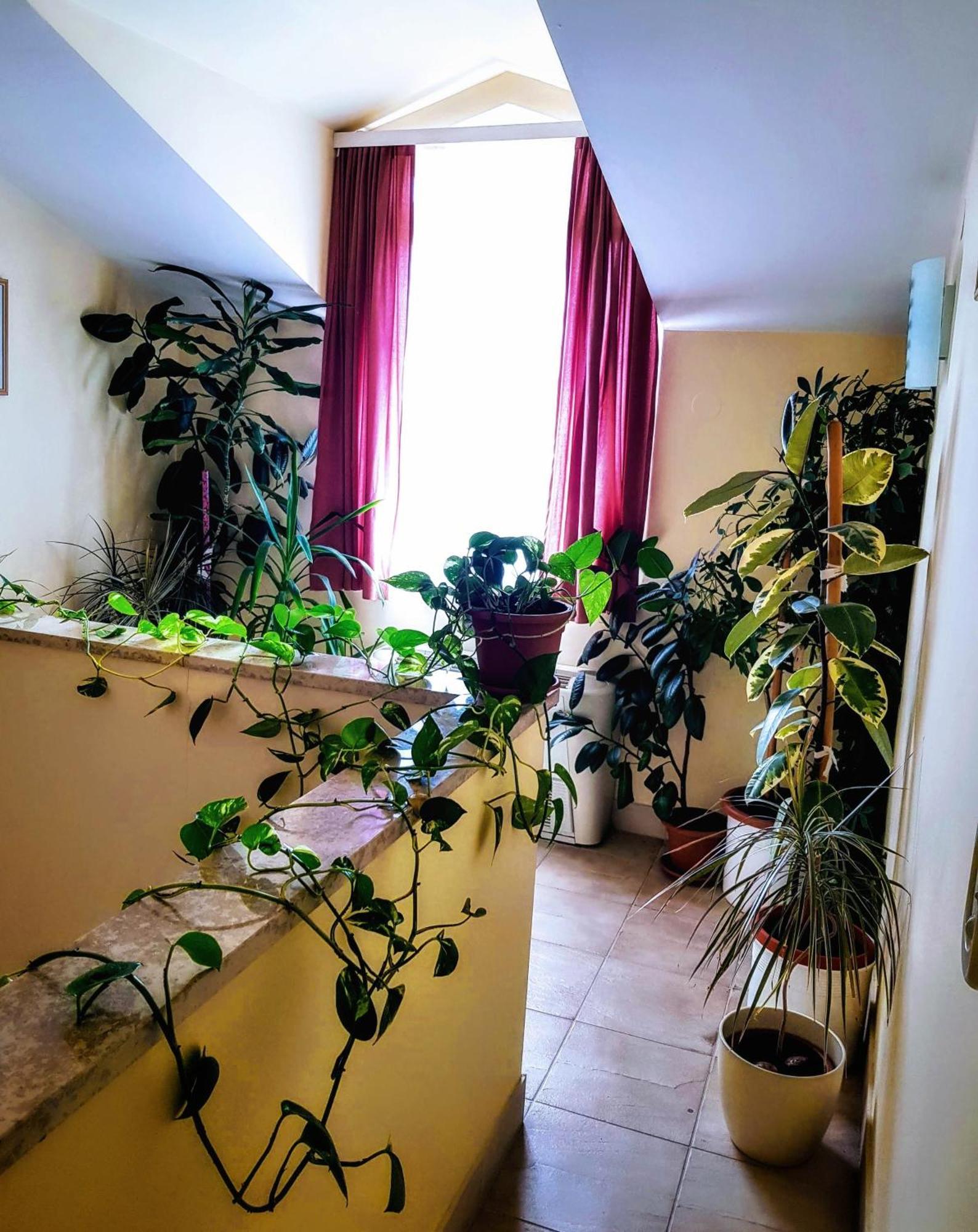 נובליה Villa Palcic II מראה חיצוני תמונה