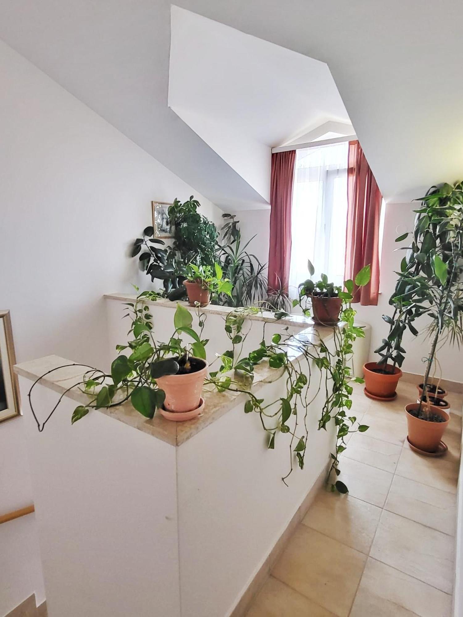 נובליה Villa Palcic II מראה חיצוני תמונה